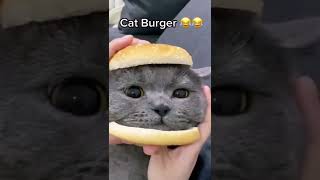 Cat Burger #shorts