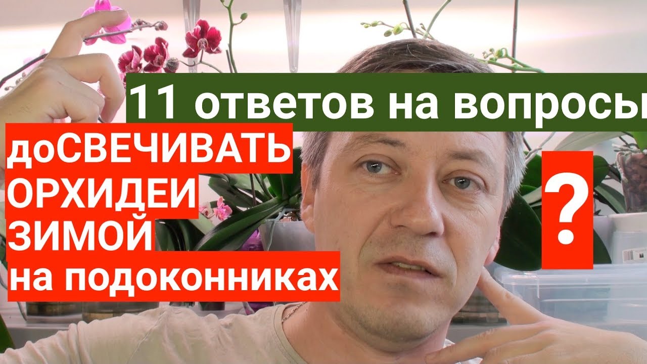 Досвечивать ОРХИДЕИ зимой на подоконниках НУЖНО или МОЖНО?