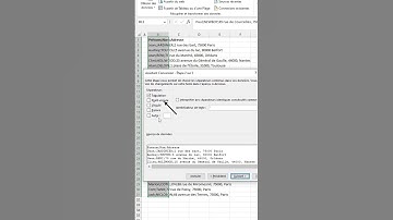 Convertir des données en colonnes dans Excel