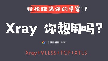 「#42」轻松跑满你的带宽？！全网首发！最新基于 Xray-core 的 Xray VLESS TCP XTLS 一键脚本 ｜谷歌云VPS一键搭建 xray vless tcp xtls 并测速