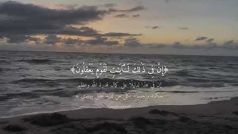 القران الكريم | سورة الروم | القارئ: محمد عبادة