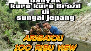 KURA KURA BRAZIL PENGHUNI SUNGAI DI JEPANG