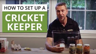 Cricket Keeper | Feeder Crickets | How to Keep Crickets Alive