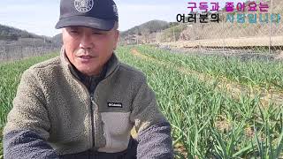 구 비대시기에 주는 마지막 추비