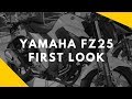 Yamaha FZ25 First Look, Booking Done.