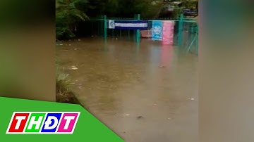 Mưa lớn kết hợp triều cường, nhiều nơi ở Sa Đéc ngập sâu | THDT
