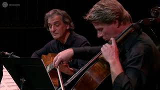 Ferenc Snétberger (guitar) -  László Fenyö  (cello) #shorts