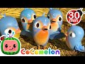 Five Little Birds and More! | CoComelon Furry Friends | Animals for Kids