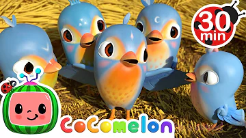 Five Little Birds and More! | CoComelon Furry Friends | Animals for Kids