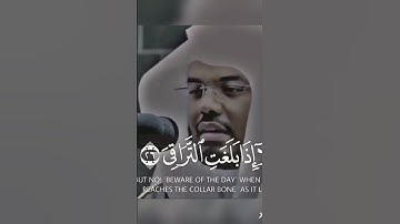 تلاوة جميلة للشيخ د.ياسر الدوسري #فلسطين_حرة #اكسبلور #لايك