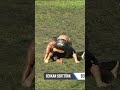 Serkan Serttürk - Seçkin Duman Kocaeli / Kandıra