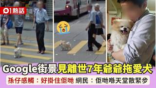 【01熱話】Google街景見離世7年爺爺拖愛犬散步身影!港男感觸:好掛住佢哋|01熱話|Google|Google Map|香港