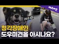[슬기로운 견공생활 Ep.02] '청각장애인 도우미견'부터 '치료 보조견'까지, 특별한 강아지들의 세계 | SBS 스페셜
