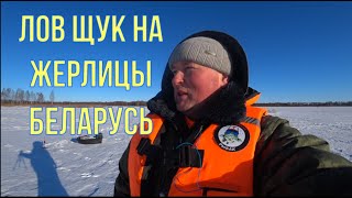 ЛОВ ЩУКИ В ГЛУХОЗИМЬЕ НА ЖЕРЛИЦЫ! Как мы ловим щук в Беларуси на флажки. Зимняя рыбалка 2022