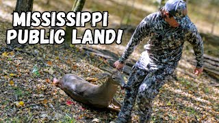 FIRST Buck with a bow!| Mississippi PUBLIC land!