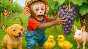 Monkey CP Drives a Tractor to Find the Missing Duckling 🦆 🐒 🚜 | Unexpected Farm Adventure