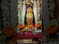 मां दुर्गाकुंड छठी  श्रृंगार दुर्गापुर वाराणसी #bhojpuri #punjabi #shyam