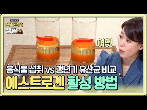 에스트로겐을 활성화시키는 <strong>방법</strong>!? 음식물 <strong>섭취</strong> vs 갱년기 <strong>유산균</strong> 효과 비교!#슬기로운생활 | wisereview EP.3