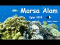 Egipt 2019 Marsa Alam - Happy Life | Gabi i Paweł | 1080p