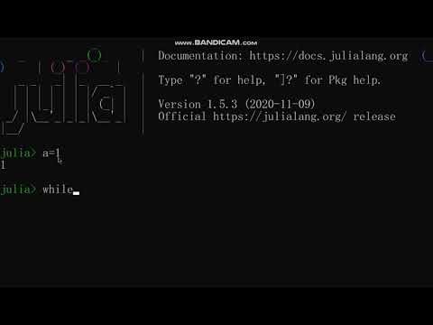 While Loop in Julia