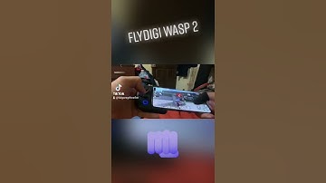 flydigi wasp 2
