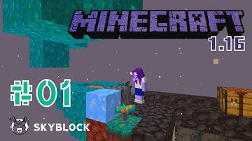 Minecraft 1.16 Skyblock | In the beginning there was nothing, which exploded. | #01 | Discworld