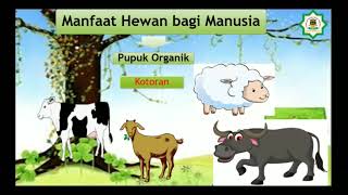 IPA (Manfaat Hewan dan Tumbuhan Bagi Manusia)