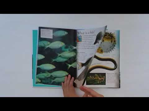 DK eyewonder Ocean