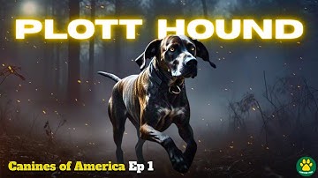 Americaβs Hidden Gem THE PLOTT HOUND | Canines of America EP 1