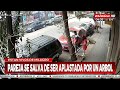 ¡Pareja se salvó de ser aplastada por un árbol!