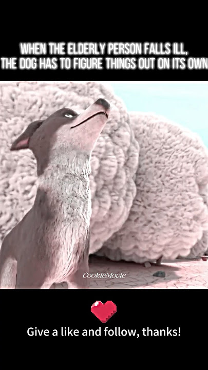 'The Dog Who Saved the Rain' | #shorts