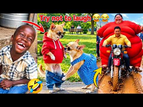 Funniest Moments on the Internet | Try Not To Laugh Challenge 😂 Part 1