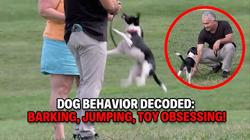 Why Your Dog Won’t Listen: The 3 Habits You MUST Fix | Dog Nation Throwbacks