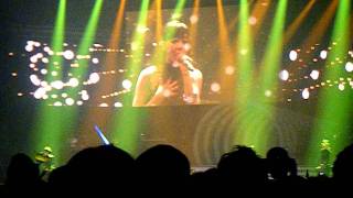 [Fancam]2NE1It Hurts @YG FAMILY CONCERT 20101205