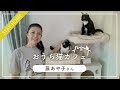 【おうち猫カフェ】藤あや子さん ～マルくんとオレオちゃんとのおうち時間