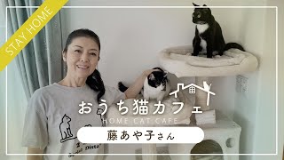 【おうち猫カフェ】藤あや子さん ～マルくんとオレオちゃんとのおうち時間