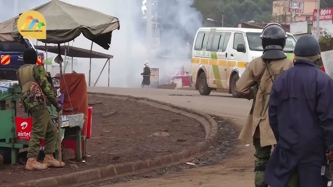 The nane nane demos situation in Karatina