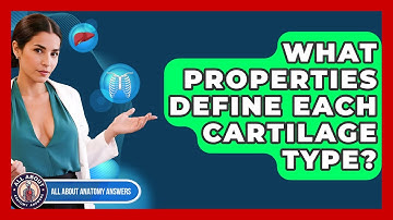 What Properties Define Each Cartilage Type? - All About Anatomy Answers
