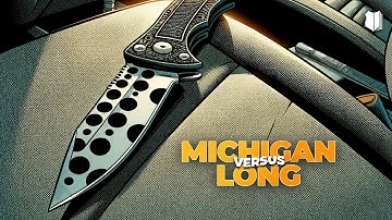 Ep #592 What Happened in MI v Long?