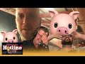 Hotline Live falls apart on air as presenters harangued by farting pig