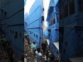 Blue City Walk Jodhpur India  #shortsvideo #shorts #short #shortvideo #india #rajasthan #oldcity