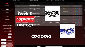 Supreme SS21 Dunks Week 2 Live Cop Video Using Mek | Ep:7