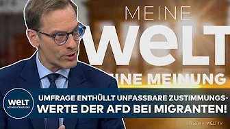 DEUTSCHLAND: Neue Umfrage enthüllt unfassbare Zustimmungswerte der AfD bei Migranten!