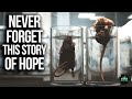 The Power Of Belief And Endurance In Challenging Situations