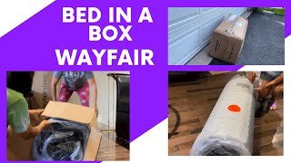 Bed in Box - Wayfair