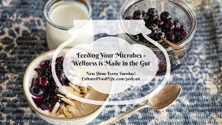 Podcast Episode 206: Feeding Your Microbes  Wellness is Made in the Gut