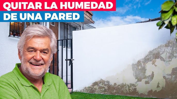 ▷Humedad en Paredes: Soluciones para Eliminarla✓