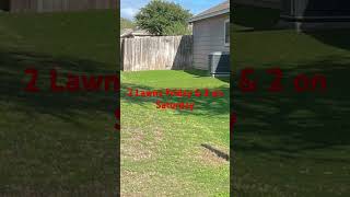 viral grass shortvideo shorts lawn bermuda lawncare mowing dog sod