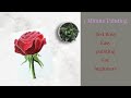 Rose Painting | Easy Painting For Beginners | 1 Minute Painting #8 | Acrylic Painting | #Shorts