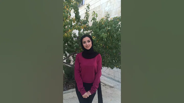 Work and travel (Sara Abdelhadi)